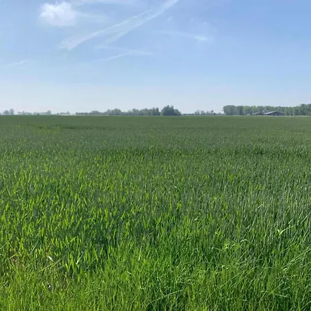 In Near Golf Course Apartment Nieuwpoort