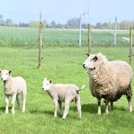 דירה In Near Golf Course ניופורט
