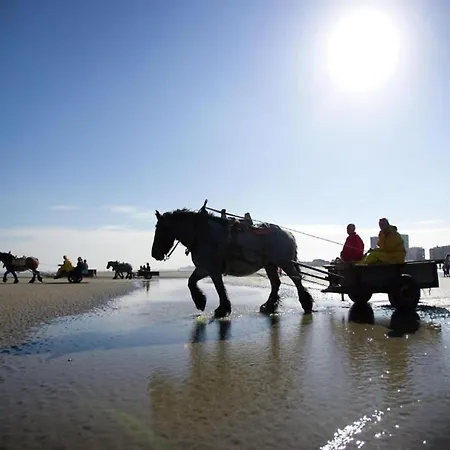 Apartamento In Near Golf Course *